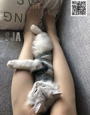 香蕉大人在在线看_BD英语BD在线观看