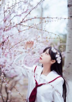 四叶草剧场视频_蓝光在线视频观看